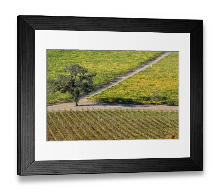 Framed Print : USA, North America, California Framed Print : USA, North America, California