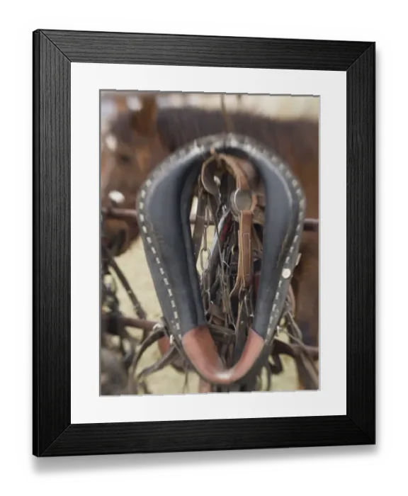 Framed Print : Tucson, Arizona: Ropes and hanrnesses used on horse drawn wagons Framed Print : Tucson, Arizona: Ropes and hanrnesses used on horse drawn wagons