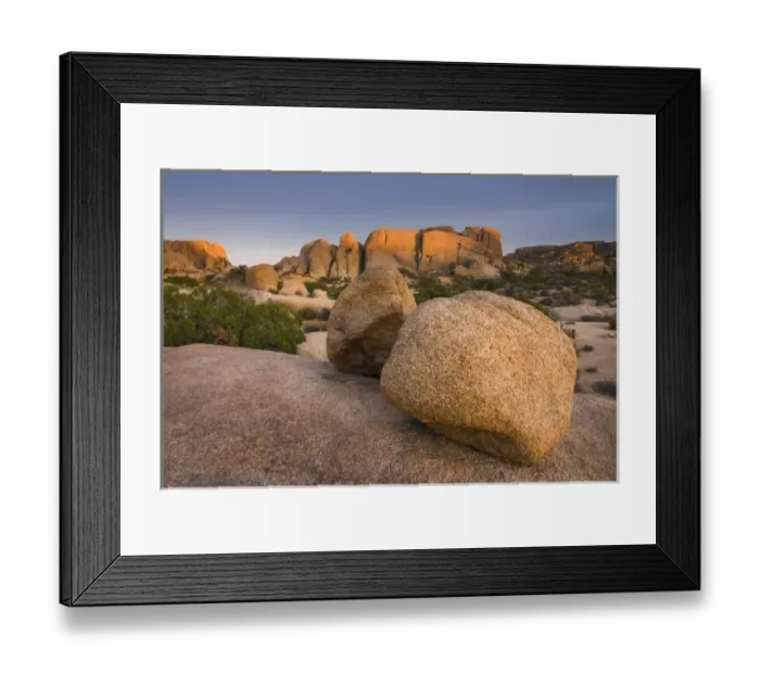 Framed Print : USA, California, Joshua Tree National Park. Sunset on the boulders in Jumbo Rocks Framed Print : USA, California, Joshua Tree National Park. Sunset on the boulders in Jumbo Rocks