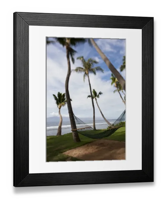 Framed Print : Hammock under tropical Hawaiian palm trees - Maui, Hawaii Framed Print : Hammock under tropical Hawaiian palm trees - Maui, Hawaii