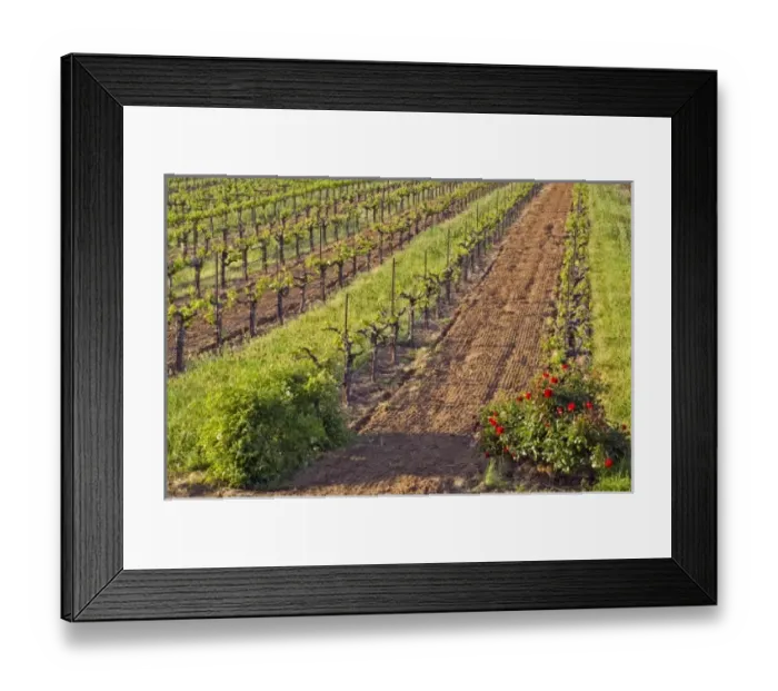 Framed Print : USA, North America, California Framed Print : USA, North America, California