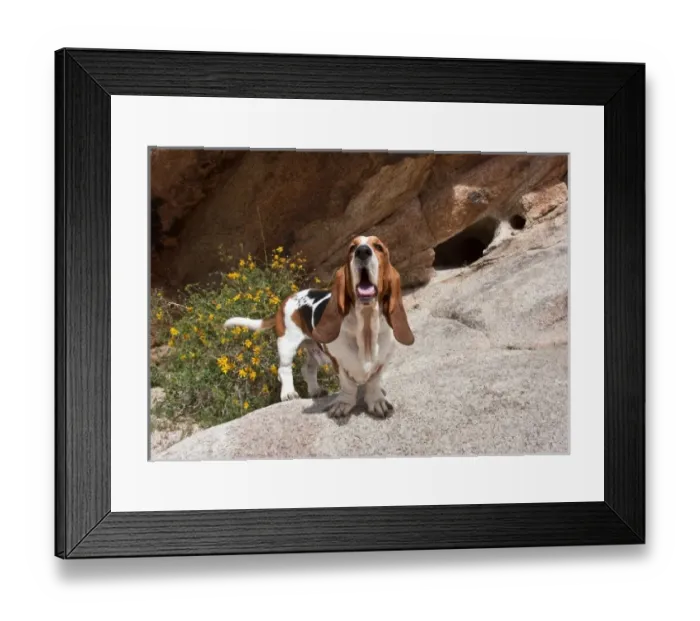 Framed Print : USA, North America, California Framed Print : USA, North America, California