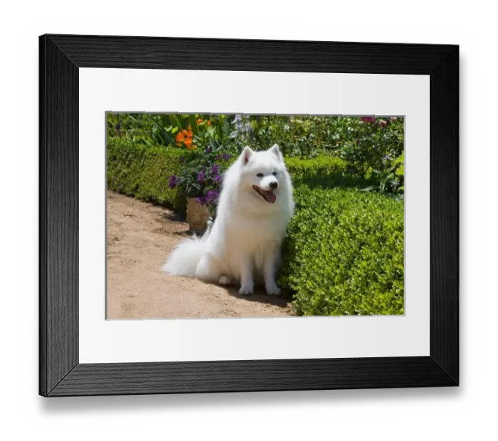 Framed Print : USA, North America, California Framed Print : USA, North America, California