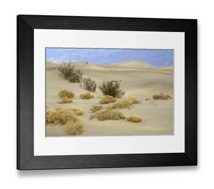 Framed Print : USA, North America, California Framed Print : USA, North America, California