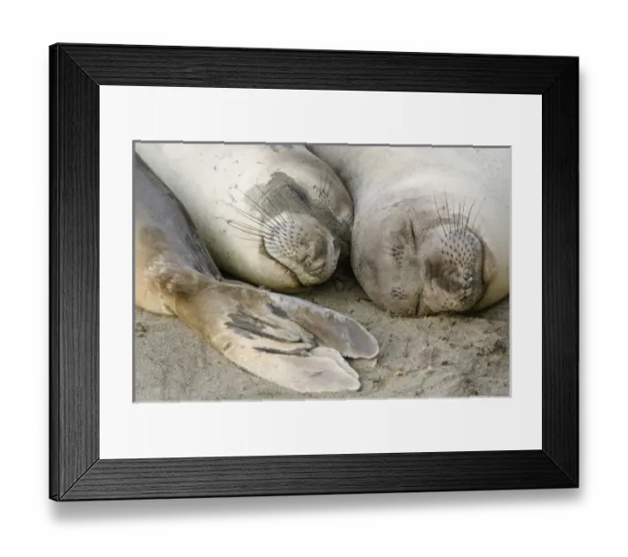 Framed Print : USA, North America, California Framed Print : USA, North America, California