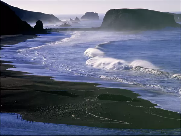 USA, California, Sonoma Co. Waves break against the beach near Goat Rock on the Sonoma