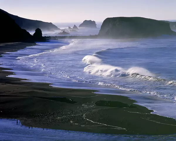 USA, California, Sonoma Co. Waves break against the beach near Goat Rock on the Sonoma
