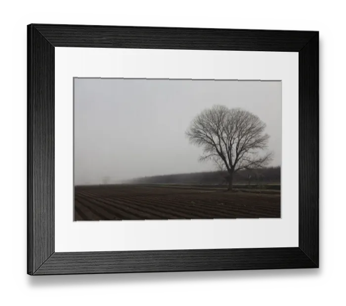 Framed Print : USA, California, Northern California, Northern Mountains, Williams, winter landscape Framed Print : USA, California, Northern California, Northern Mountains, Williams, winter landscape