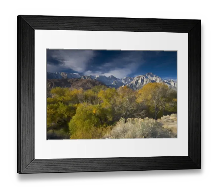 Framed Print : USA, North America, California