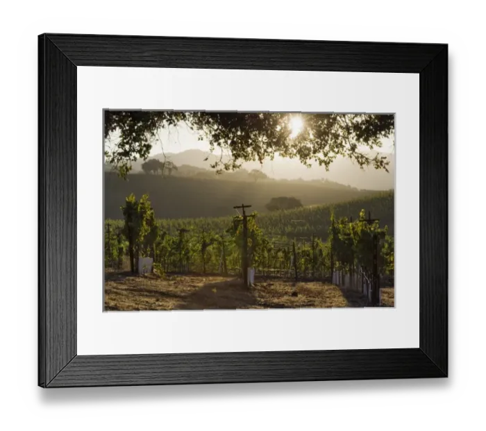 Framed Print : USA, North America, California Framed Print : USA, North America, California