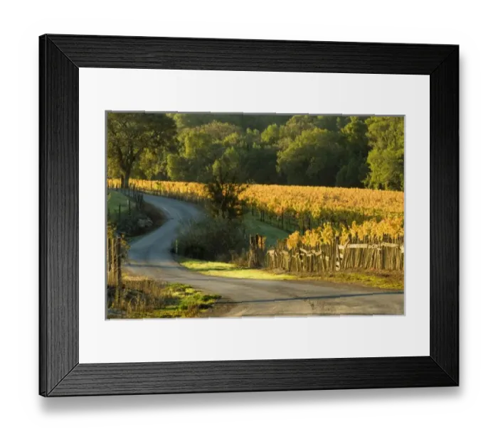 Framed Print : USA, North America, California Framed Print : USA, North America, California