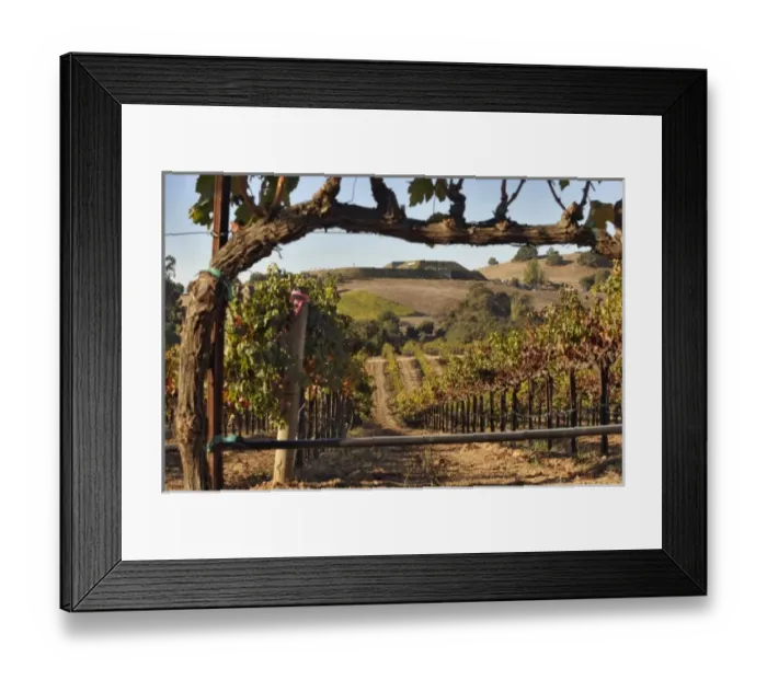 Framed Print : USA, North America, California Framed Print : USA, North America, California