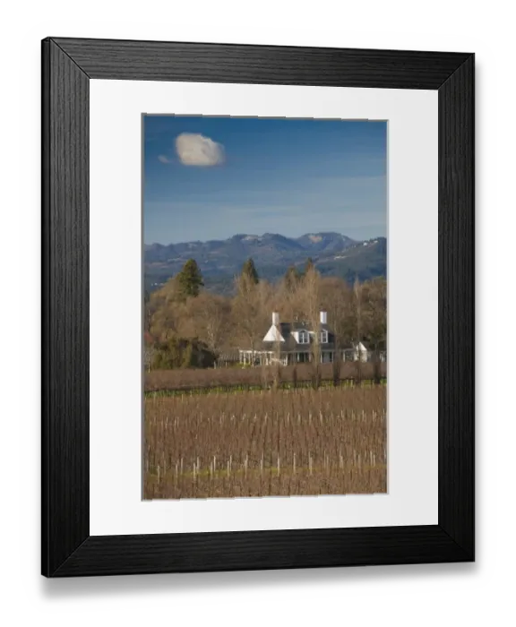 Framed Print : USA, California, Northern California, Napa Valley Wine Country, Oakville, vineyard Framed Print : USA, California, Northern California, Napa Valley Wine Country, Oakville, vineyard