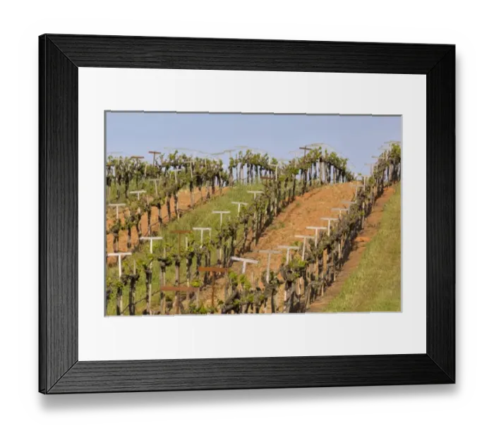 Framed Print : USA, North America, California Framed Print : USA, North America, California