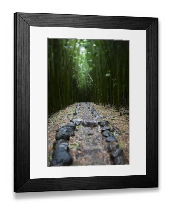 Framed Print : USA, North America, Florida Framed Print : USA, North America, Florida