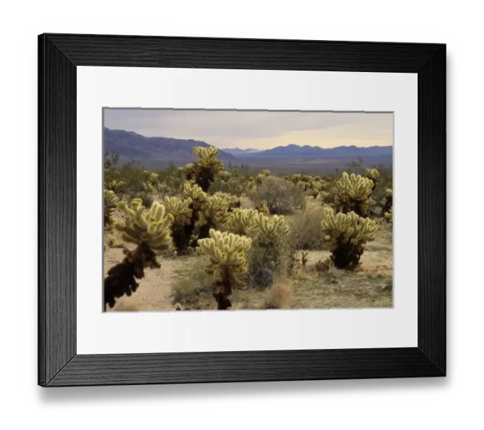 Framed Print : USA, North America, California