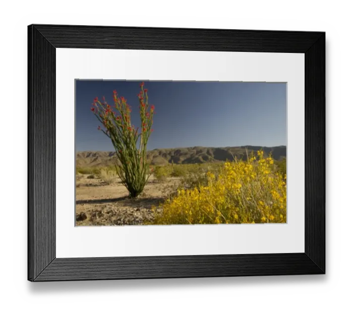 Framed Print : USA, North America, California Framed Print : USA, North America, California