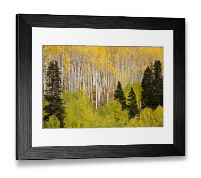 Framed Print : USA, North America, Colorado Framed Print : USA, North America, Colorado