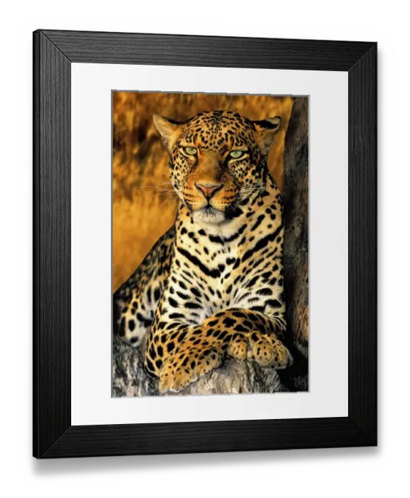 Framed Print : USA, North America, California Framed Print : USA, North America, California