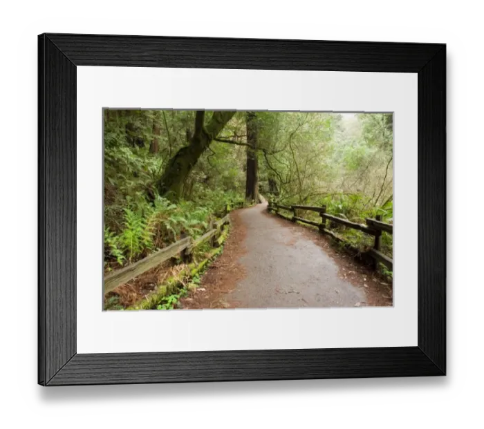 Framed Print : USA, North America, California Framed Print : USA, North America, California