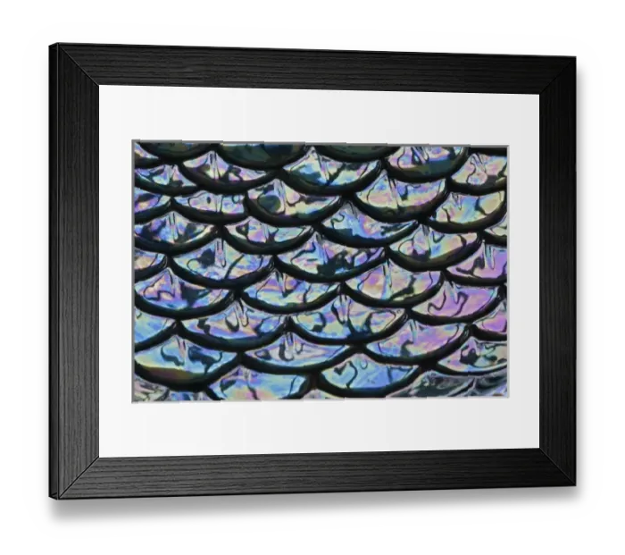 Framed Print : Pattern in ceramic dish, Florida Framed Print : Pattern in ceramic dish, Florida