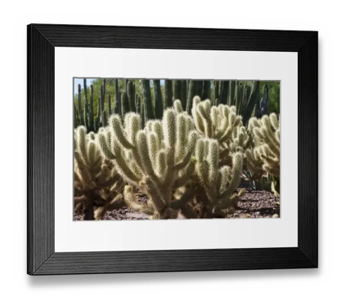 Framed Print : USA, North America, Arizona Framed Print : USA, North America, Arizona