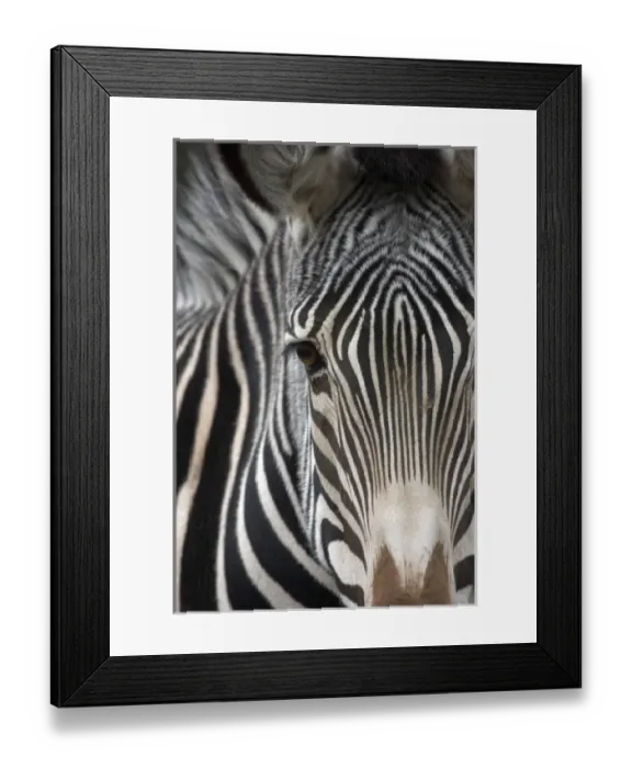 Framed Print : USA, North America, California Framed Print : USA, North America, California