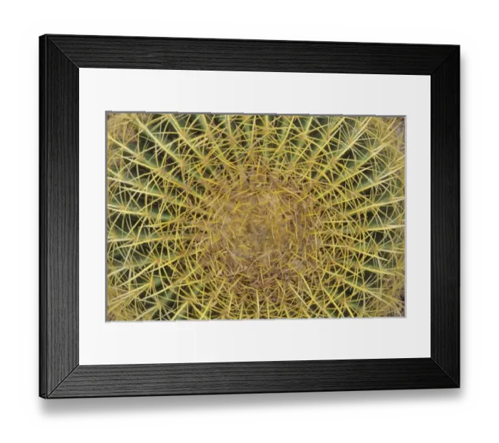 Framed Print : USA, North America, Arizona Framed Print : USA, North America, Arizona