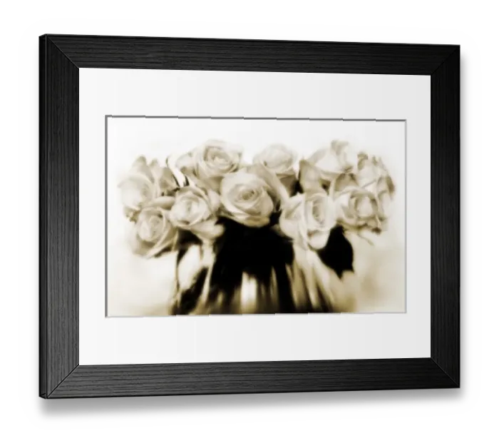 Framed Print : USA, North America, Florida Framed Print : USA, North America, Florida