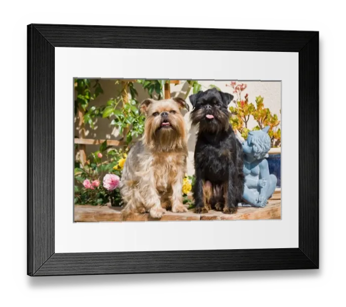 Framed Print : USA, North America, California Framed Print : USA, North America, California
