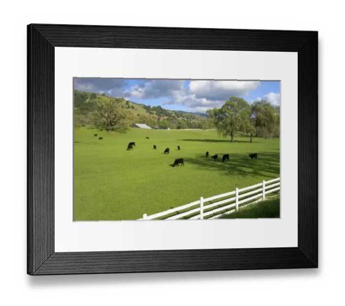 Framed Print : USA, North America, California