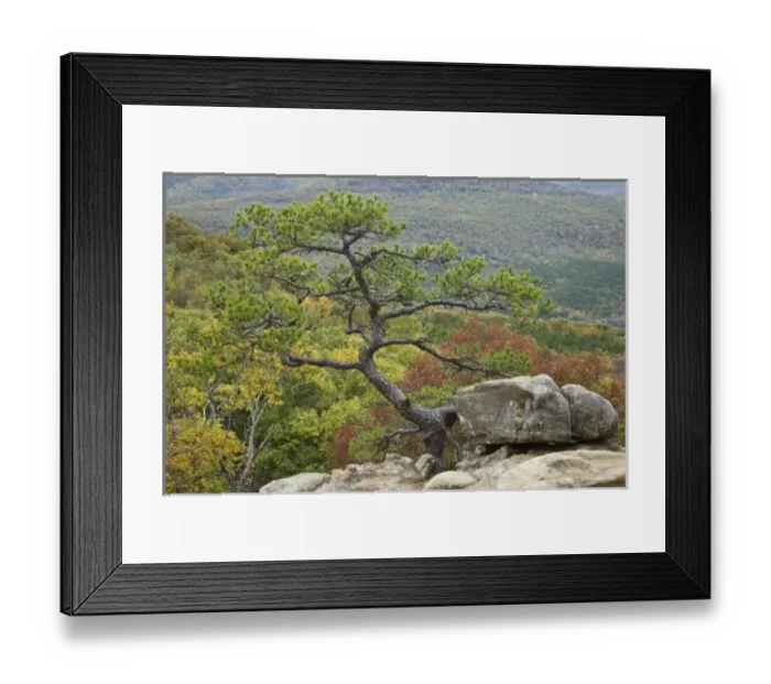 Framed Print : USA, North America, Arkansas Framed Print : USA, North America, Arkansas