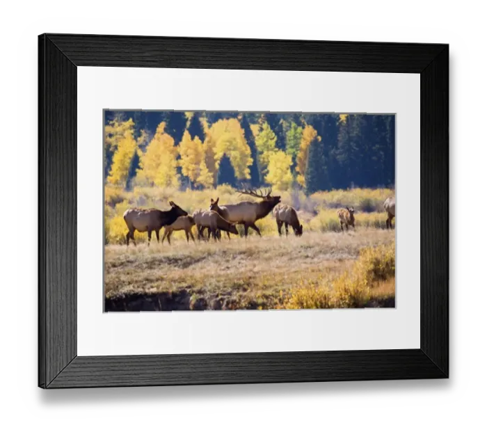 Framed Print : USA, North America, Colorado Framed Print : USA, North America, Colorado