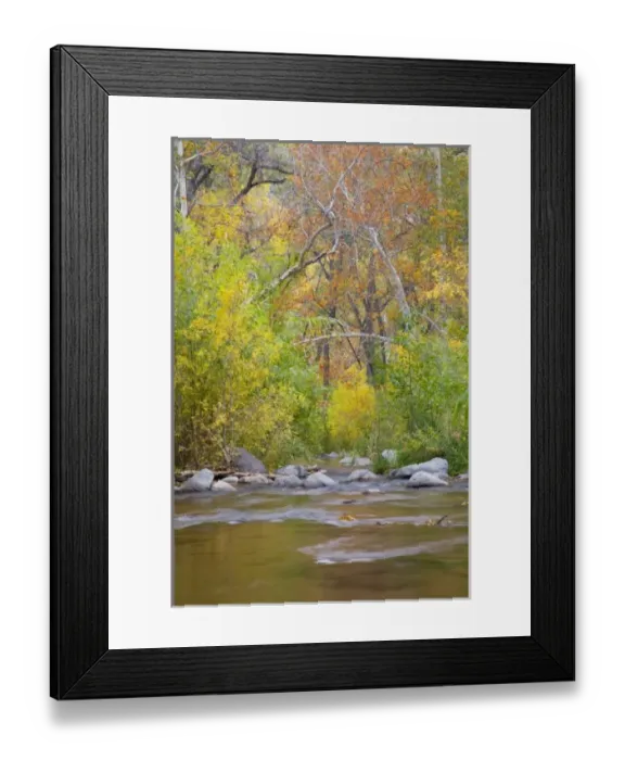 Framed Print : USA, North America, Arizona