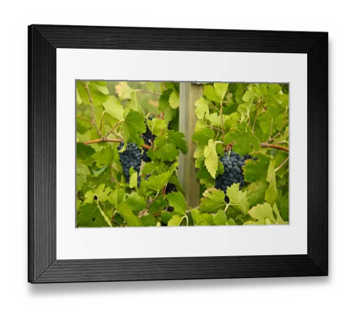Framed Print : USA, North America, California Framed Print : USA, North America, California