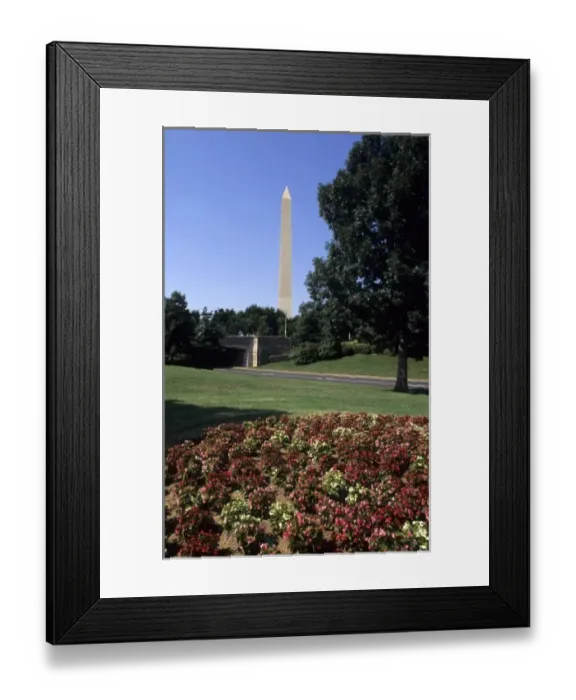 Framed Print : The beautiful color of the Washington Monument needle towards the sky with flowers Framed Print : The beautiful color of the Washington Monument needle towards the sky with flowers