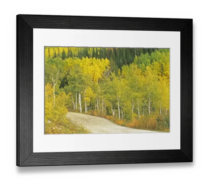 Framed Print : USA, North America, Colorado