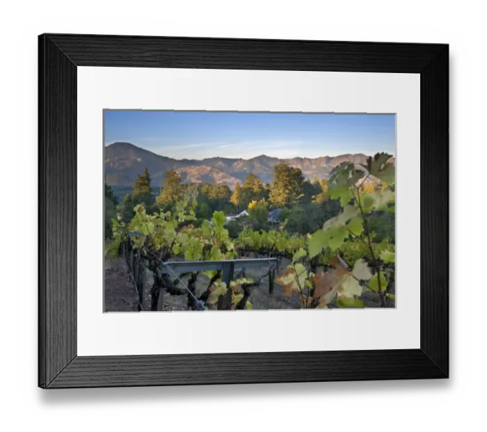Framed Print : USA, North America, California Framed Print : USA, North America, California