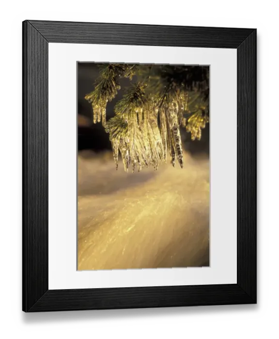 Framed Print : USA, North America, California Framed Print : USA, North America, California