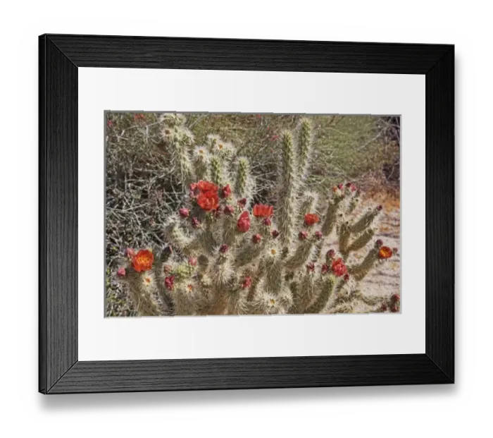 Framed Print : USA, North America, California Framed Print : USA, North America, California