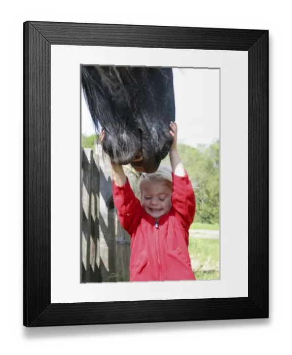 Framed Print : USA, California. Young girl tries to hold the mouth of a draft horse at Wilder Ranch