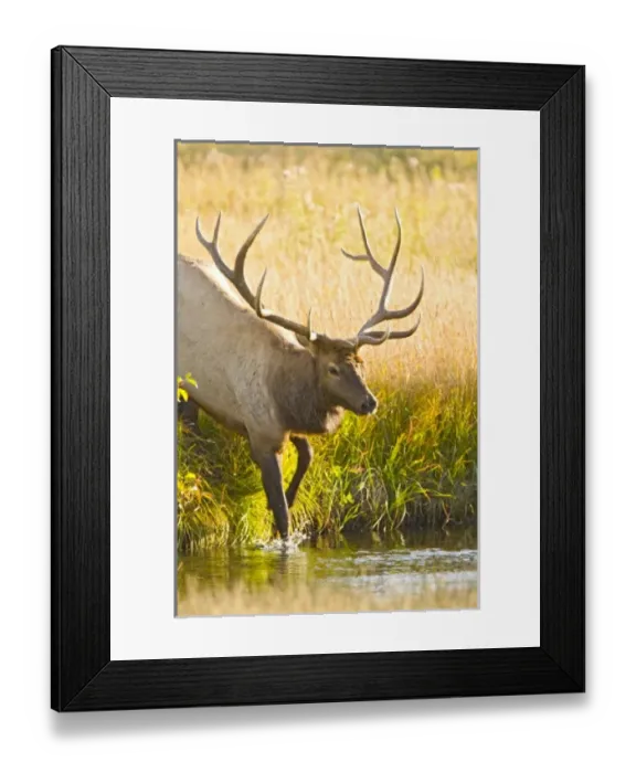 Framed Print : USA, North America, Colorado Framed Print : USA, North America, Colorado