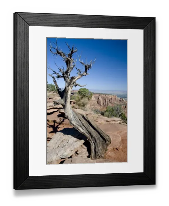 Framed Print : Colorado, Grand Junction, Colorado National Monument. Rim Rock Drive views Framed Print : Colorado, Grand Junction, Colorado National Monument. Rim Rock Drive views