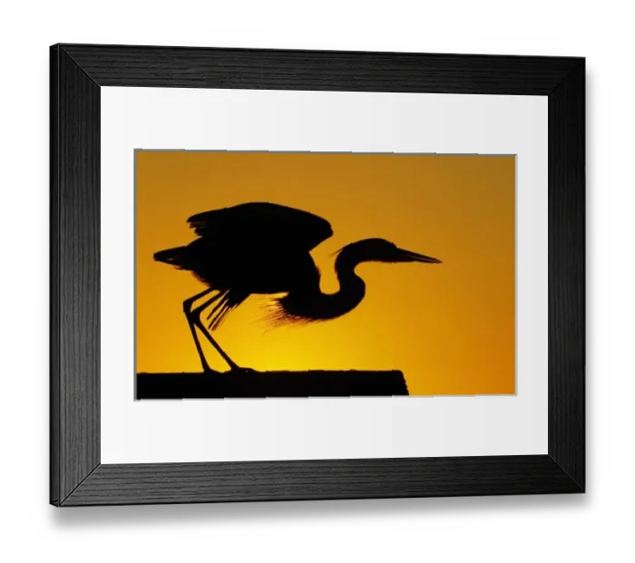 Framed Print : USA, North America, Florida Framed Print : USA, North America, Florida
