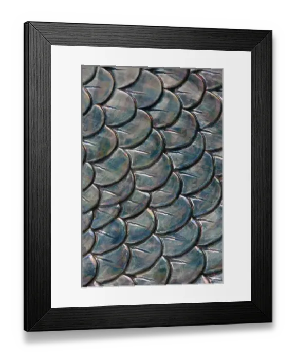 Framed Print : Pattern in ceramic dish, Florida