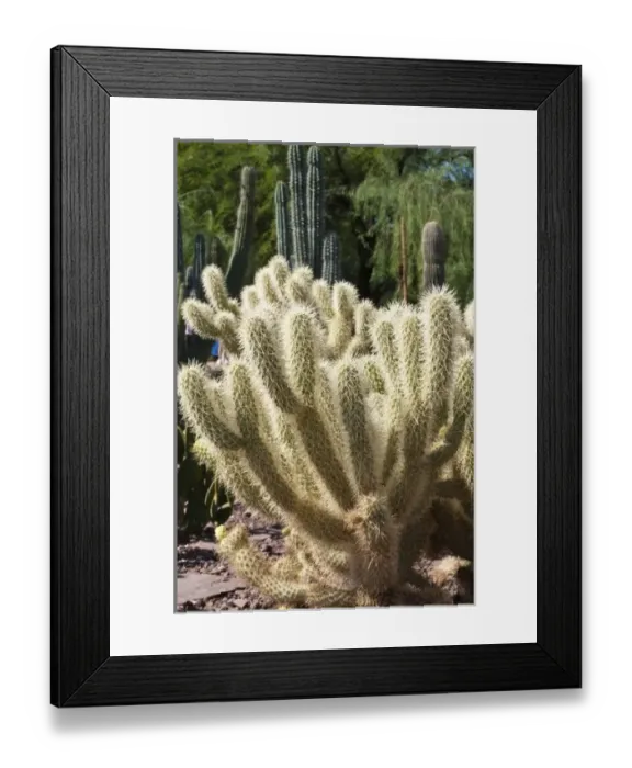 Framed Print : USA, North America, Arizona Framed Print : USA, North America, Arizona