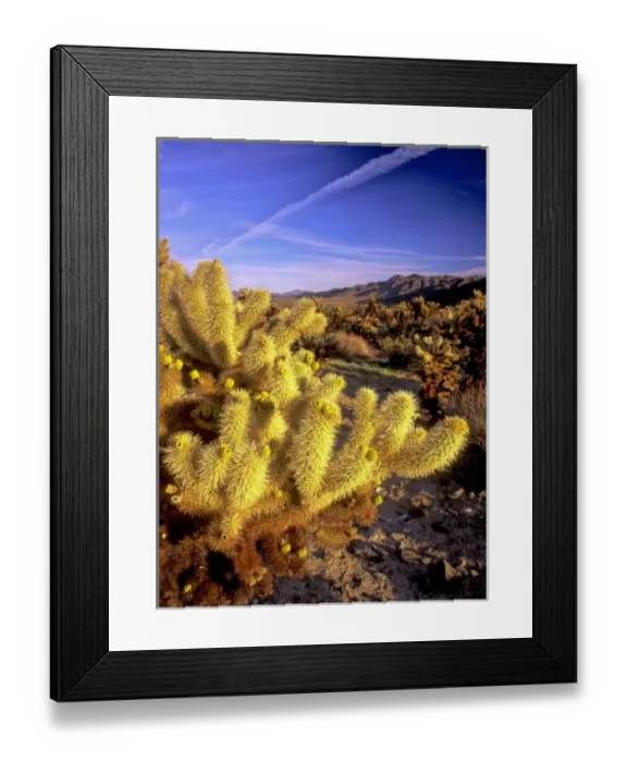 Framed Print : USA, North America, California Framed Print : USA, North America, California