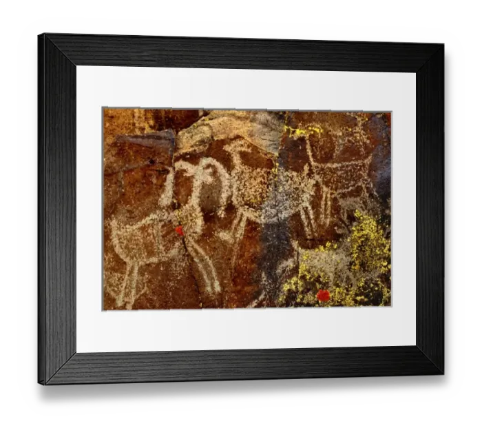 Framed Print : USA, California, Little Petroglyph Canyon, Ridgecrest. Wall of ancient petroglyph rock carvings Framed Print : USA, California, Little Petroglyph Canyon, Ridgecrest. Wall of ancient petroglyph rock carvings