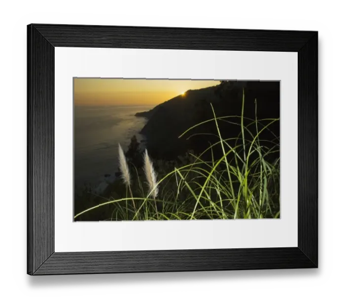 Framed Print : USA, North America, California