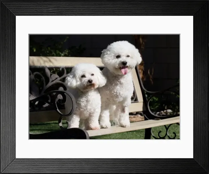 Framed Print : USA, North America, California